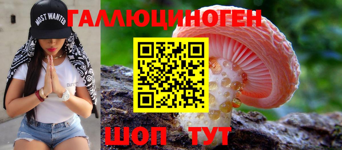 Псилоцибиновые грибы ЛСД  Галлюциногенные грибы Psilocybine cubensis  Чайковский  Вход с VPN 