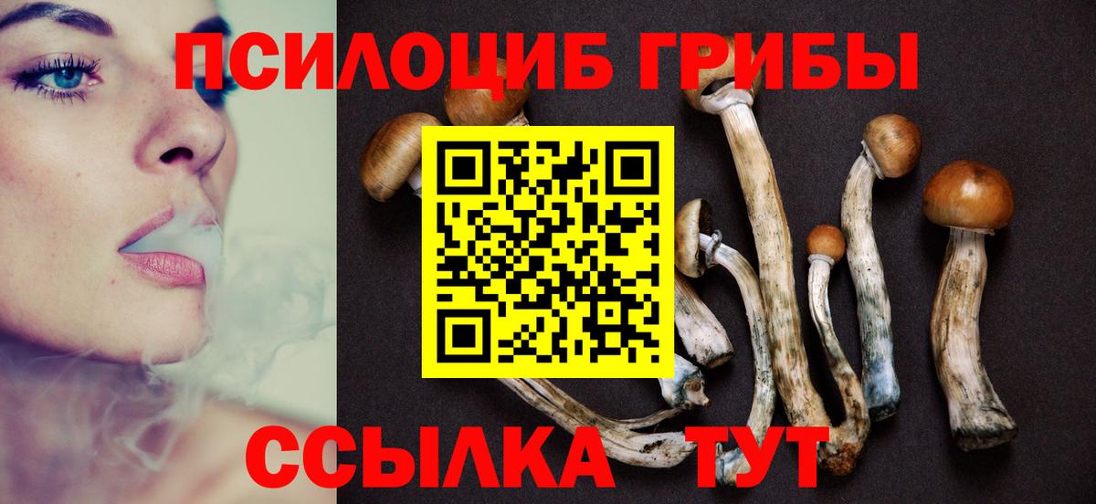 Псилоцибиновые грибы Psilocybe Чайковский